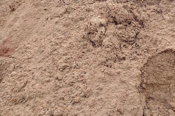 bulk-graded-sub-soil-loxley-dirt-pit-alabama